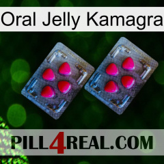 Oral Jelly Kamagra 14